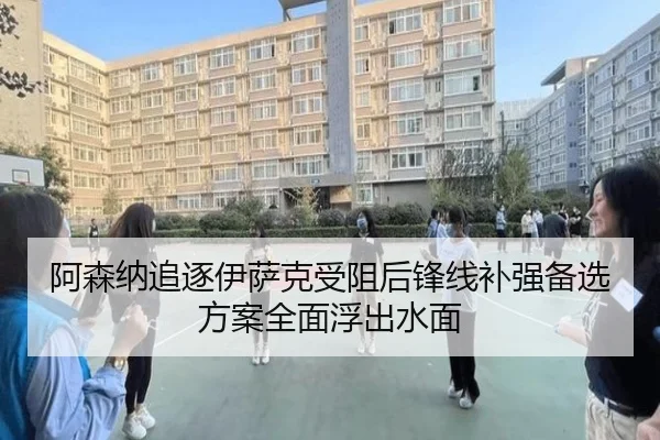 阿森纳追逐伊萨克受阻后锋线补强备选方案全面浮出水面